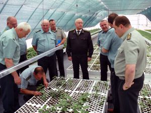 На Вінниччині порахували ліси, створені за сім десятиліть